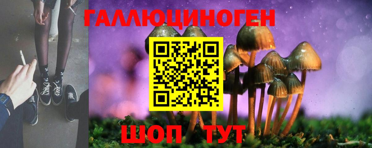 Псилоцибиновые грибы прущие грибы  Вход с VPN  Томск 